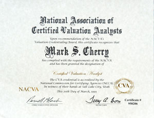 National Association of Certified Valuation Analysts